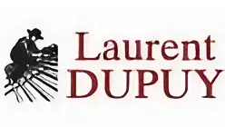 logo+laurent+dupuy 0.1 (1)